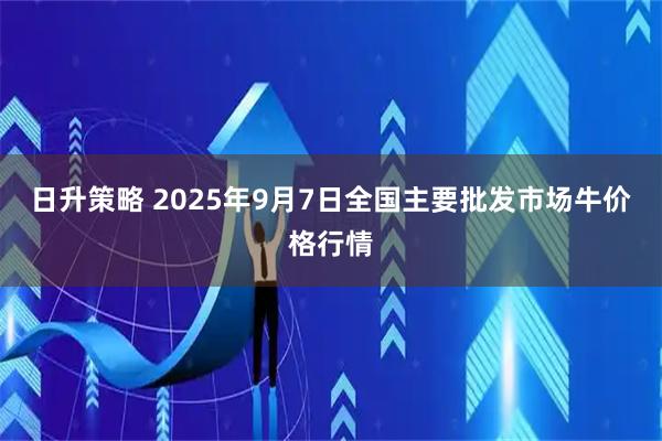 日升策略 2025年9月7日全国主要批发市场牛价格行情