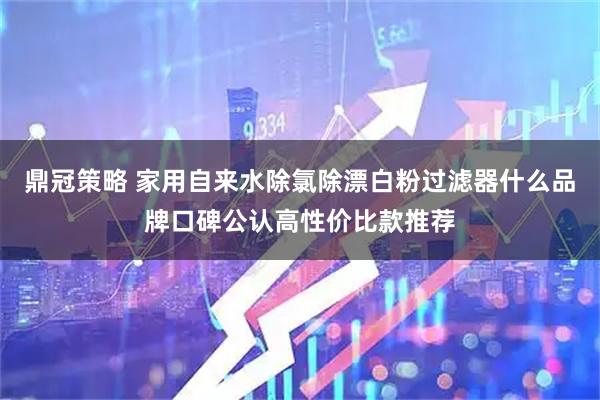 鼎冠策略 家用自来水除氯除漂白粉过滤器什么品牌口碑公认高性价比款推荐